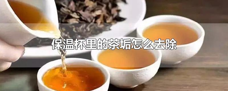 保温杯里的茶垢怎么清理