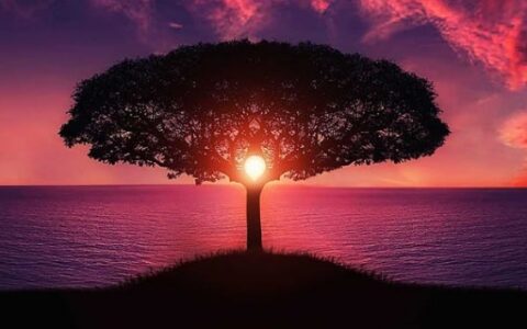 成语什么然挺立