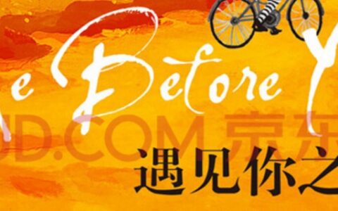 遇见你之前原著结局