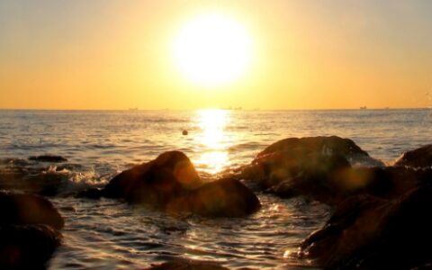 李幼斌金马岛是哪个电视剧