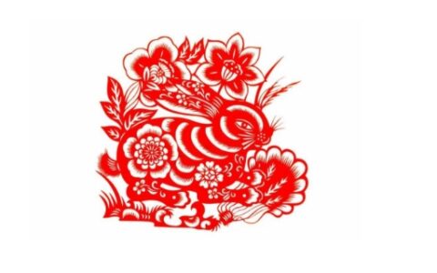 一五一十的动物是什么生肖