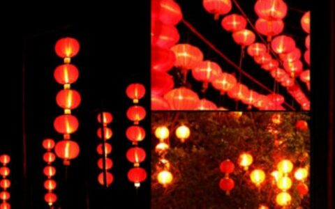 张灯结彩是什么动物