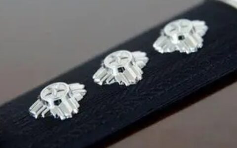 一级警司是什么职务