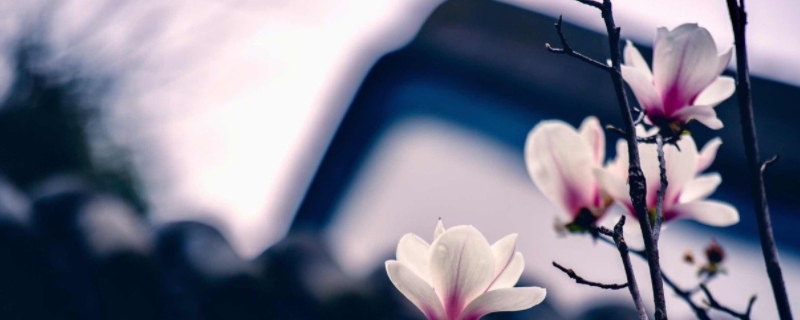 春花秋月何时了的下一句