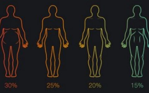 体脂肪率是什么