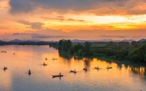 樟树市属于哪个市