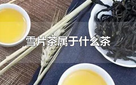 雪片茶属于什么茶