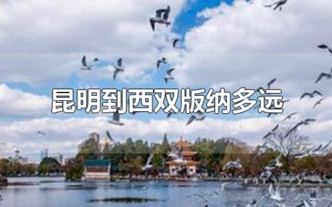 昆明到西双版纳多远