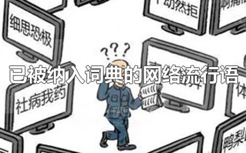 已被纳入词典的网络流行语
