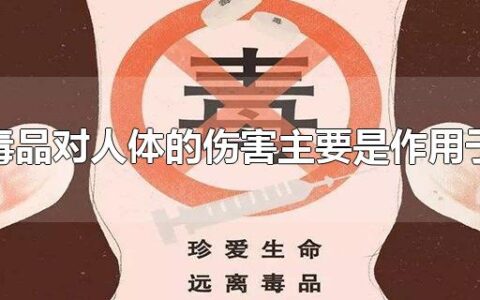 毒品对人体的伤害主要是作用于