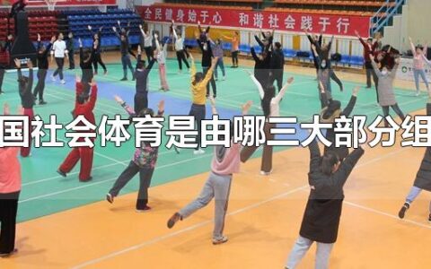 我国社会体育是由哪三大部分组成