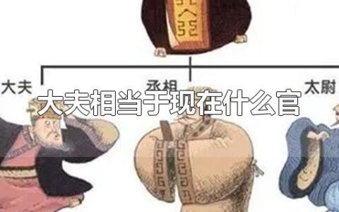 大夫相当于现在什么官