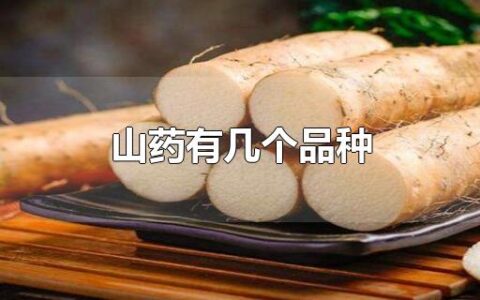 山药有几个品种