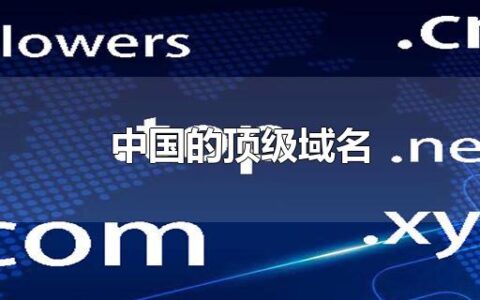 中国的顶级域名