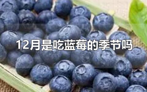 12月是吃蓝莓的季节吗