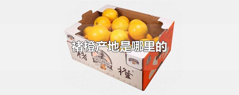 褚橙产地是哪里的