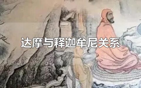 达摩与释迦牟尼关系