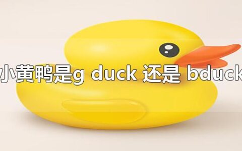 小黄鸭是g duck 还是 bduck
