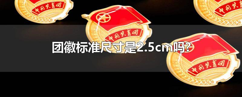 团徽标准尺寸是2.5cm吗?