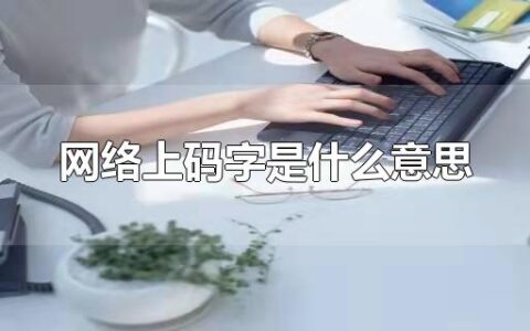 网络上码字是什么意思