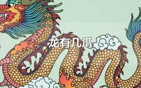 龙有几爪