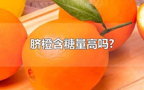 脐橙含糖量高吗?