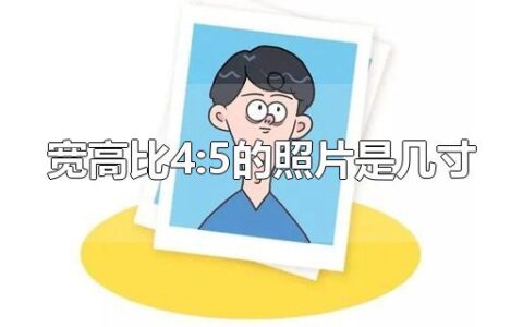 宽高比4:5的照片是几寸