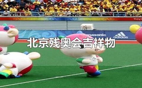 北京残奥会吉祥物