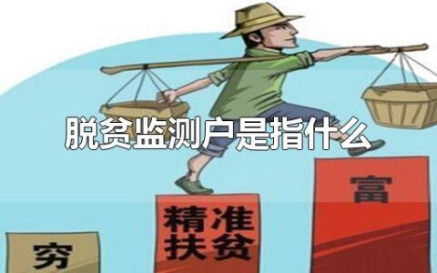 脱贫监测户是指什么