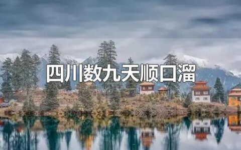 四川数九天顺口溜