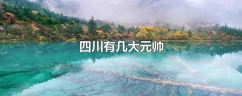 四川有几大元帅