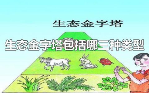 生态金字塔包括哪三种类型