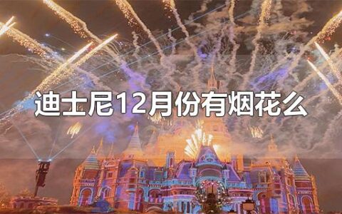 迪士尼12月份有烟花么
