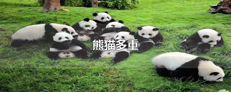 熊猫多重