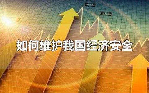 如何维护我国经济安全