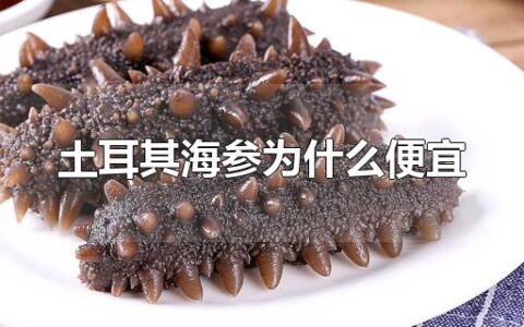 土耳其海参为什么便宜