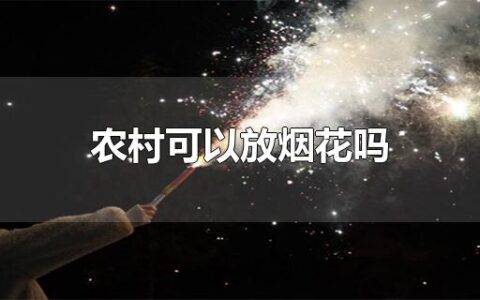 农村可以放烟花吗