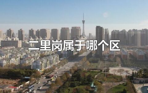 二里岗属于哪个区