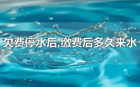 欠费停水后,缴费后多久来水