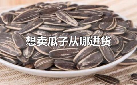 想卖瓜子从哪进货