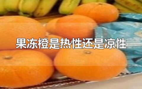 果冻橙是热性还是凉性