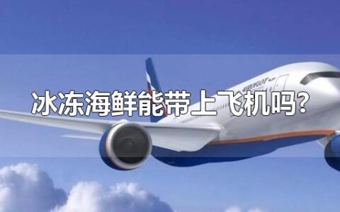 冰冻海鲜能带上飞机吗?