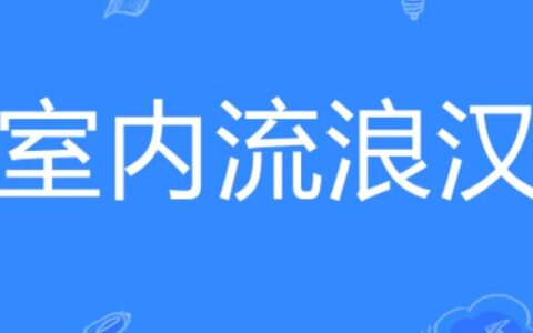 室内流浪汉是什么意思