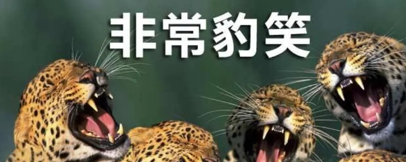 非常豹笑了是什么意思