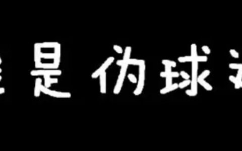 什么是诚信伪球迷