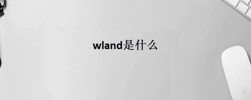 wland官网怎么进入