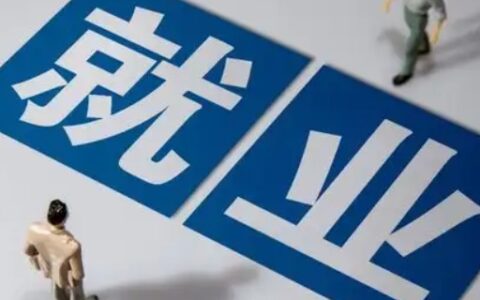 就业双向选择表是什么东西啊