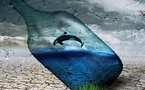 如何保护水资源