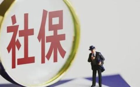 社保app是哪个软件?