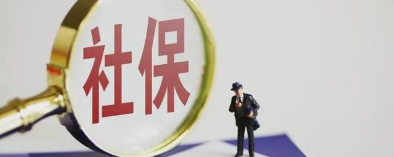 社保app是哪个软件?